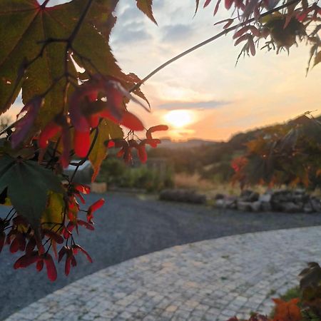 Rhoen-Hotel Sonnenhof - Restaurant & Cafe ポッペンハウゼン エクステリア 写真