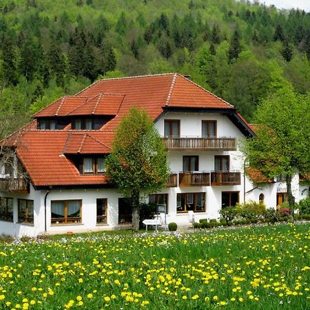 Rhoen-Hotel Sonnenhof - Restaurant & Cafe ポッペンハウゼン エクステリア 写真