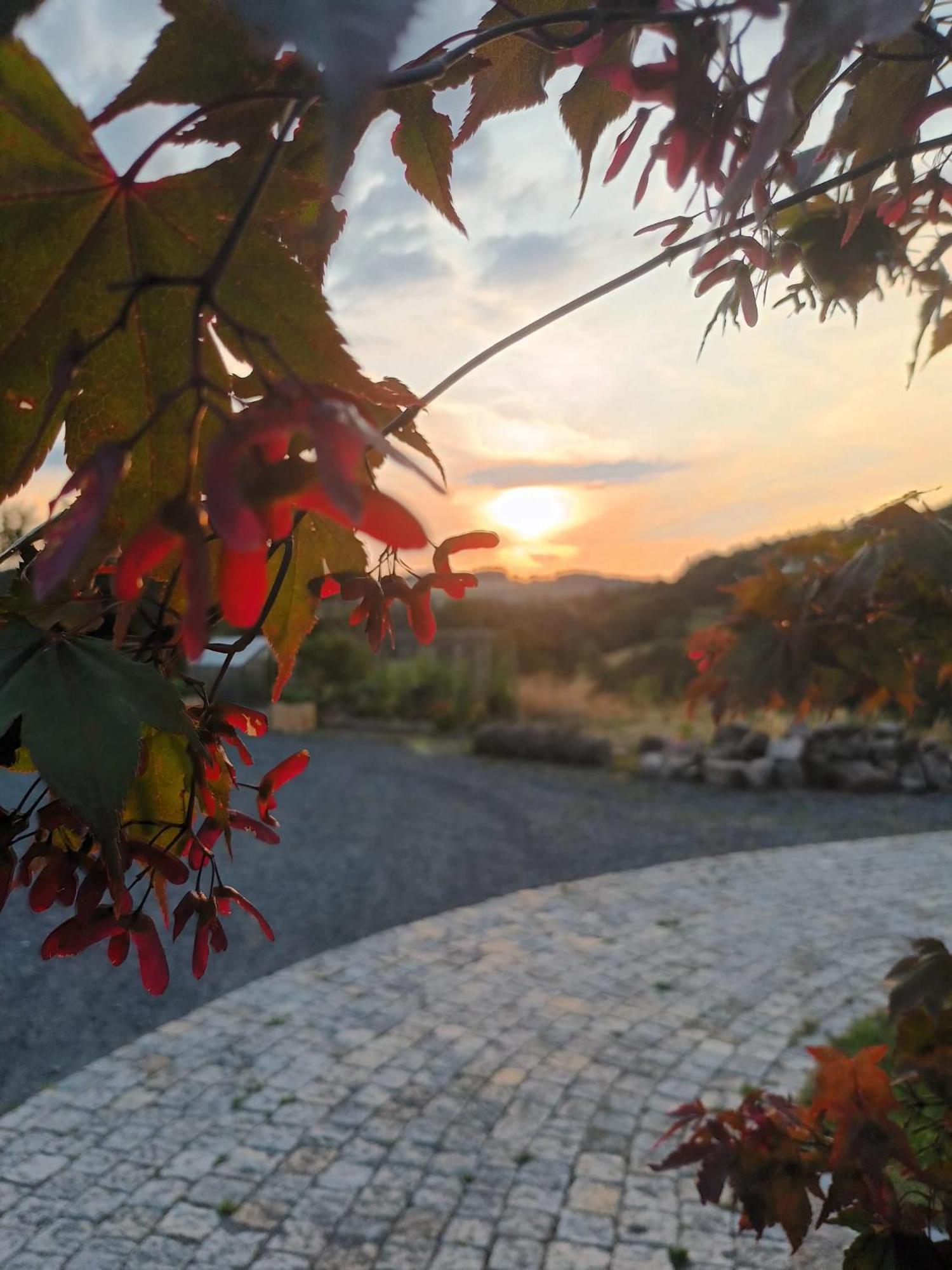 Rhoen-Hotel Sonnenhof - Restaurant & Cafe ポッペンハウゼン エクステリア 写真