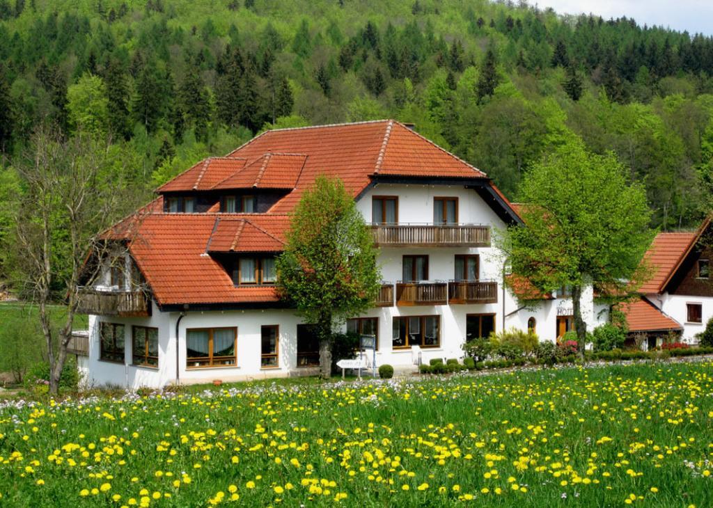 Rhoen-Hotel Sonnenhof - Restaurant & Cafe ポッペンハウゼン エクステリア 写真