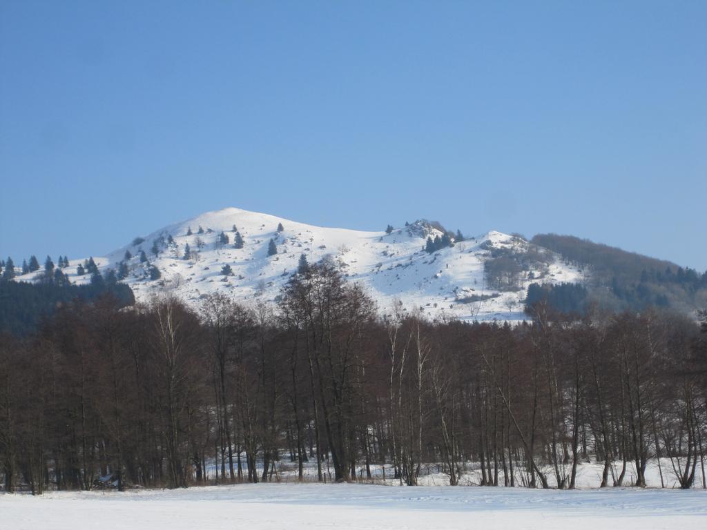 Rhoen-Hotel Sonnenhof - Restaurant & Cafe ポッペンハウゼン 部屋 写真